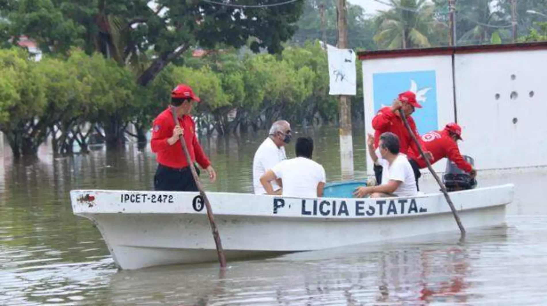 afectados copia